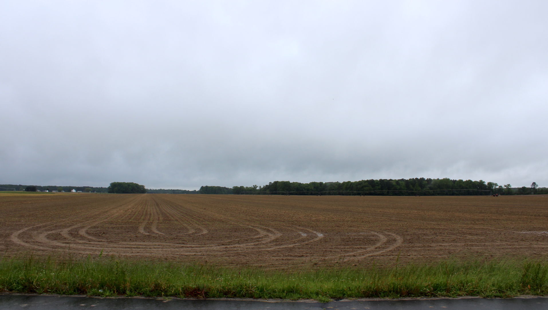 New Market Solar Farm Fields South from Railroad Ave.